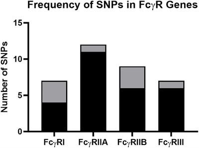 Defining genetic diversity of rhesus macaque Fcγ receptors with long-read RNA sequencing